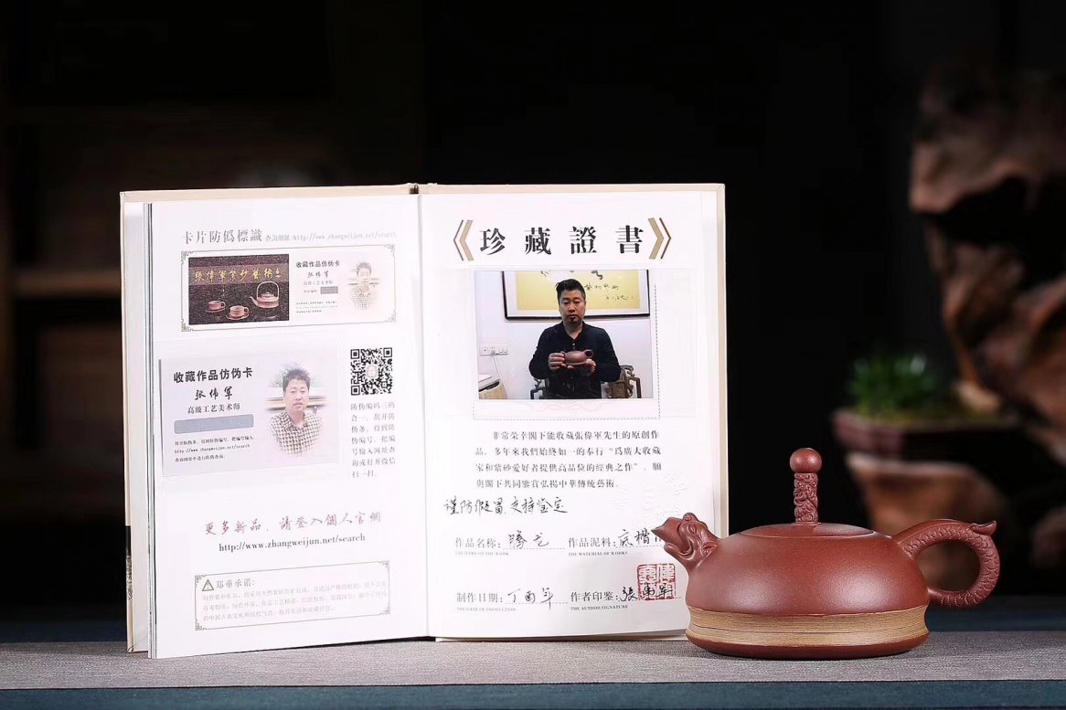 张伟军作品 腾龙