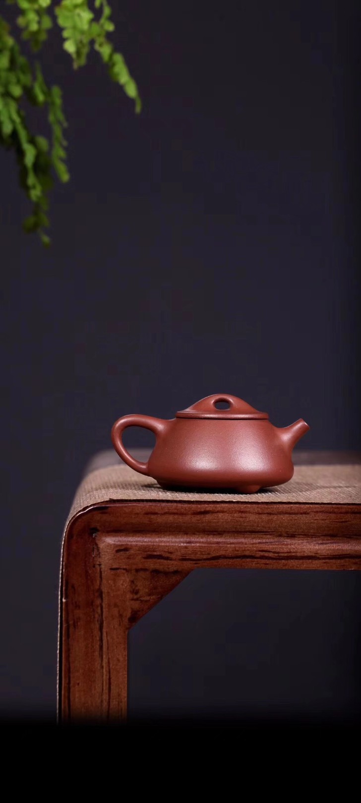 戚志君作品 石瓢