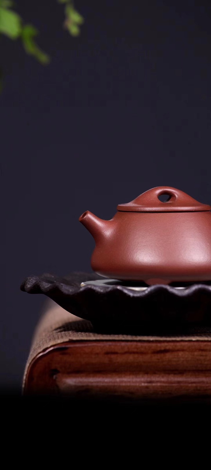 戚志君作品 石瓢