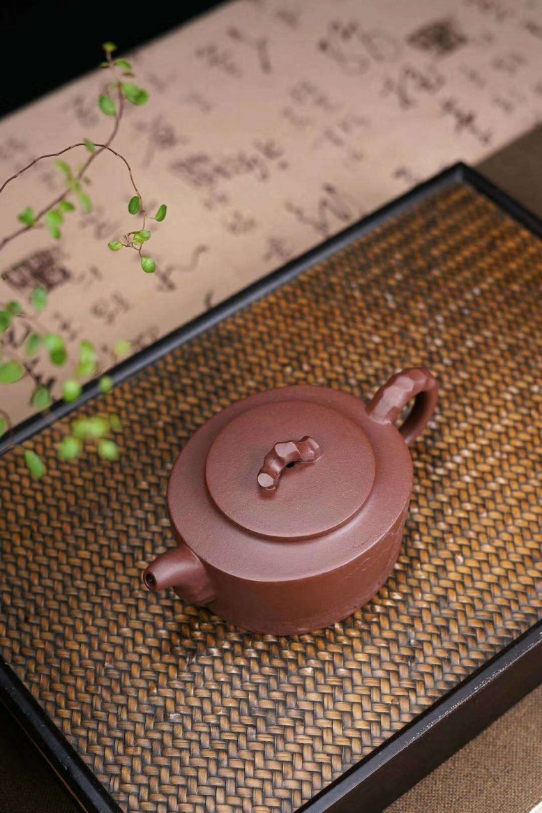 陈浩作品 枯木逢春