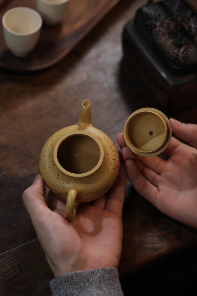 韩迪作品 梨型