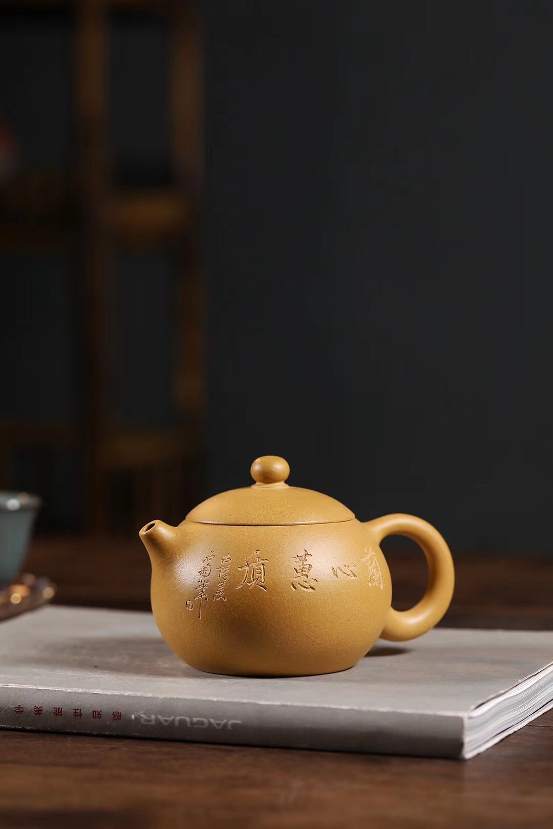陈顺根作品 西施