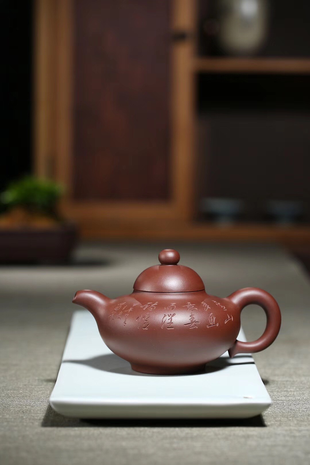 陈顺根作品 乳丁