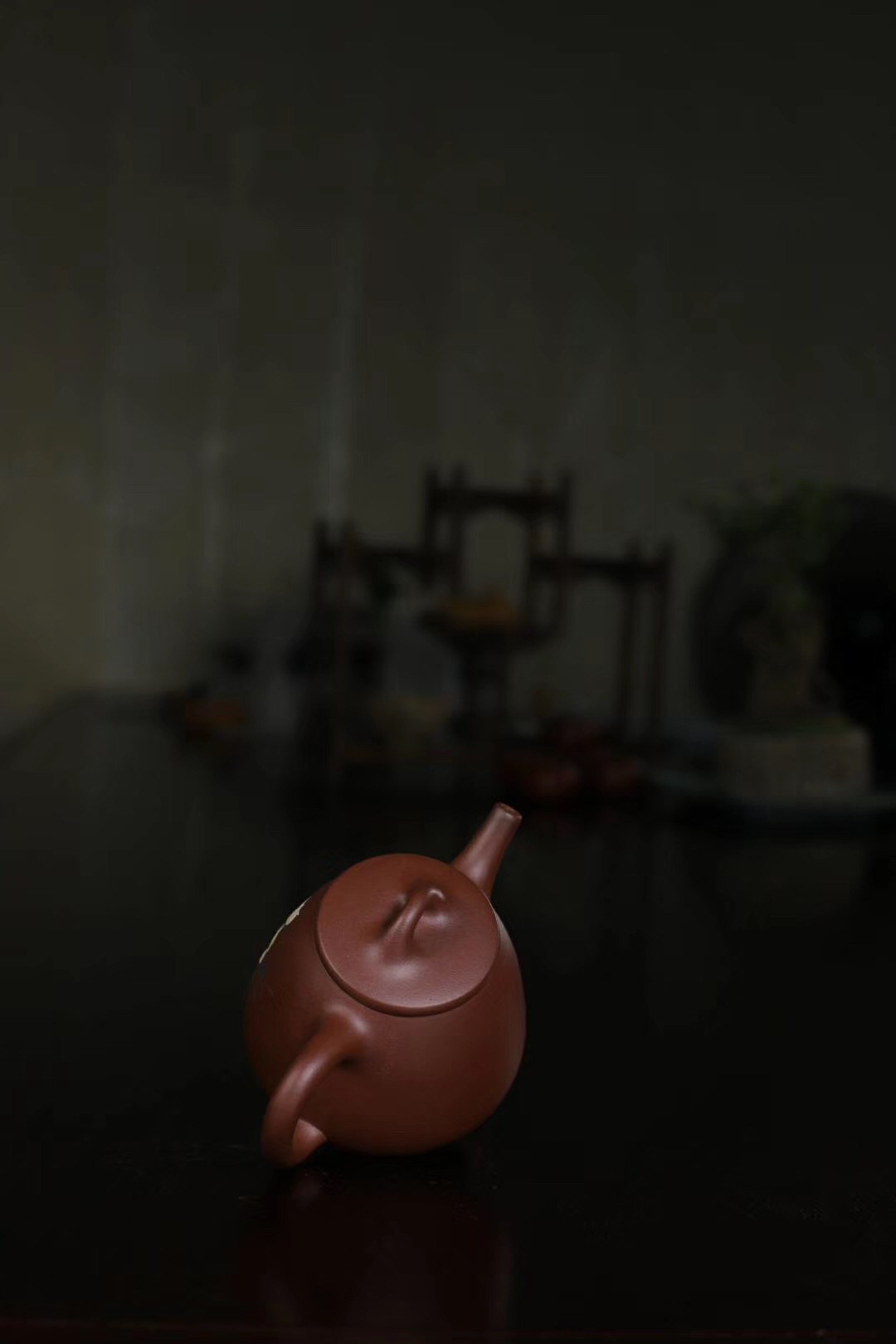 杨军保作品 玉兰石瓢