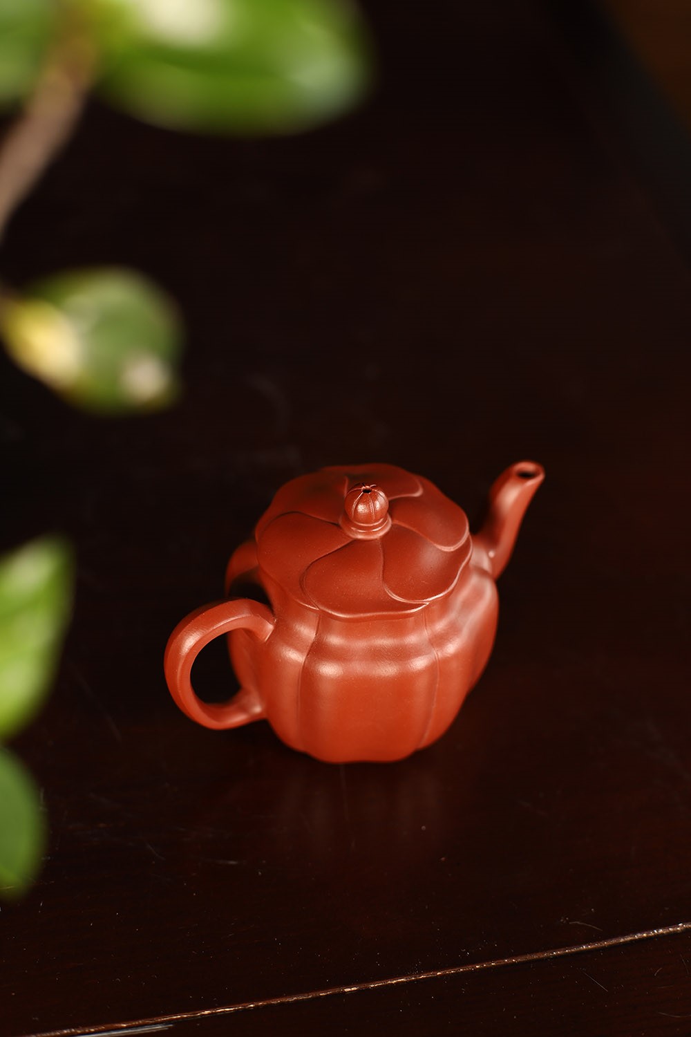 丁洪斌作品 小莲花