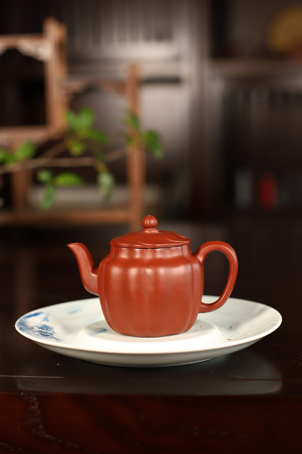丁洪斌作品 小莲花