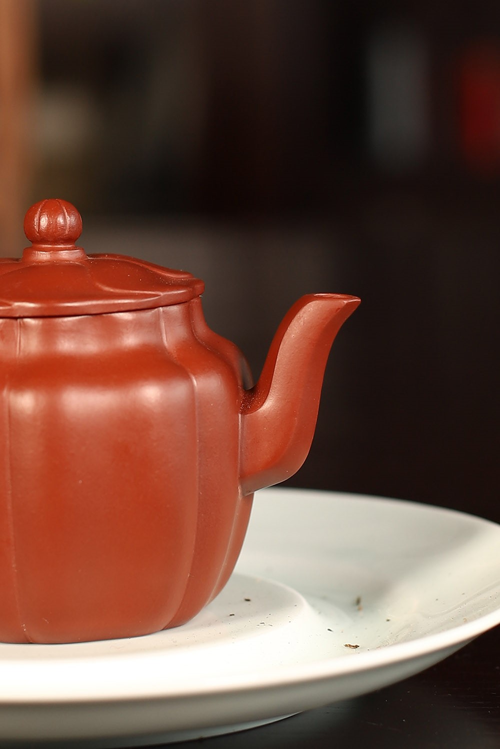 丁洪斌作品 小莲花