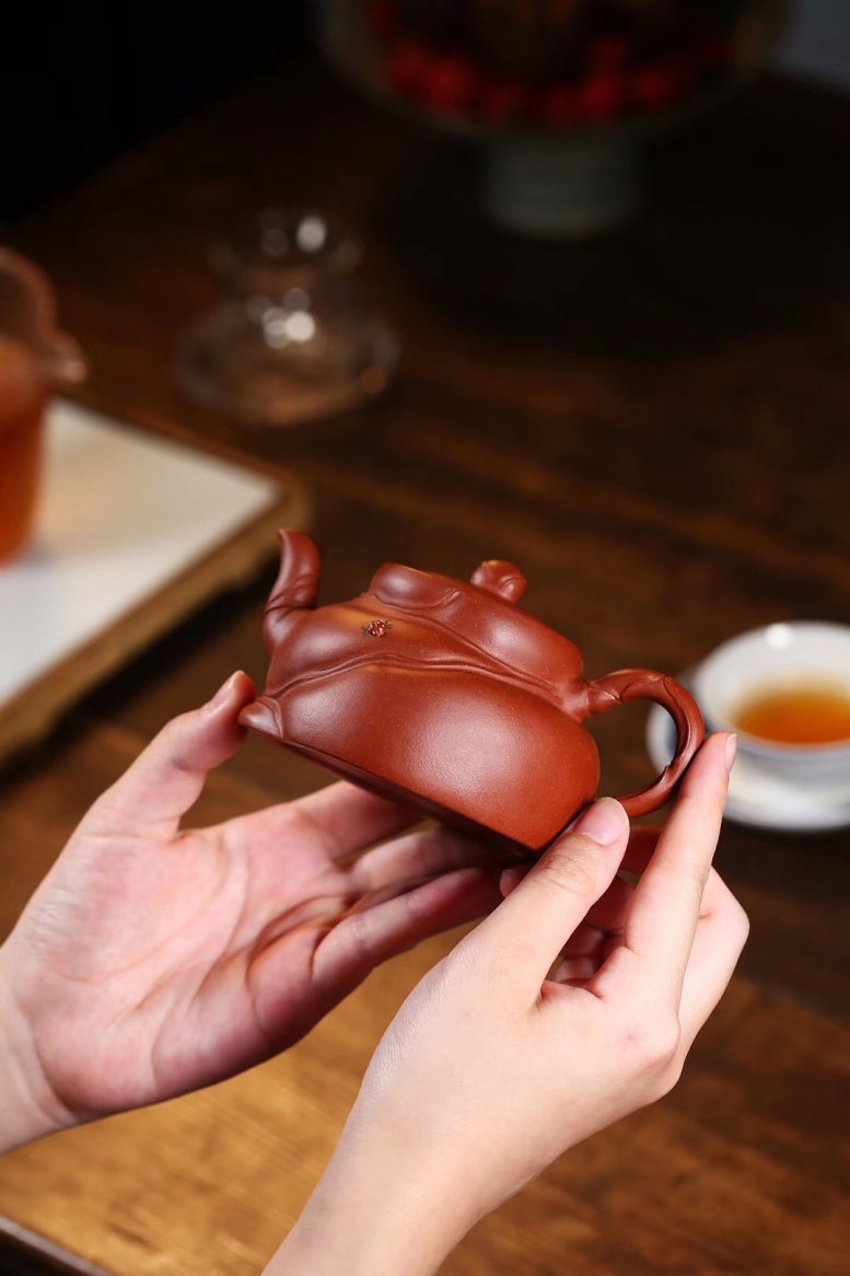 沈洪斌作品 佛肚竹