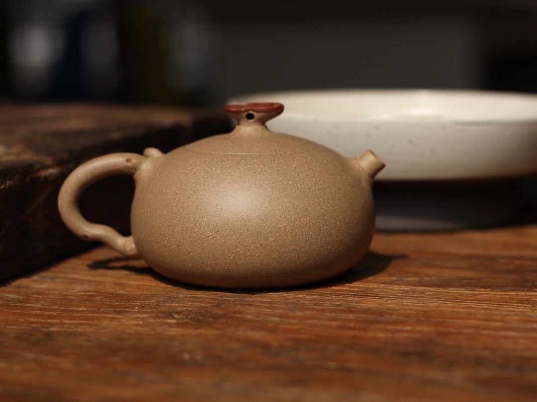 潘梅强作品 老树灵芝