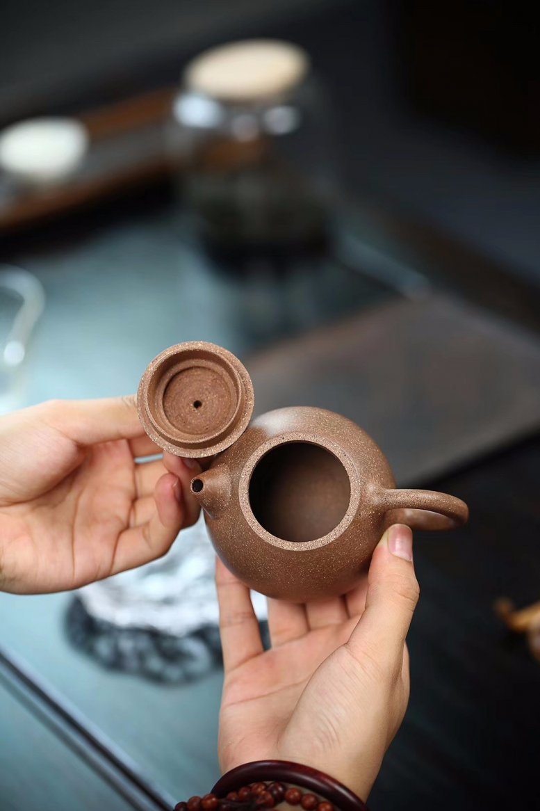 杨鹏作品 龙蛋