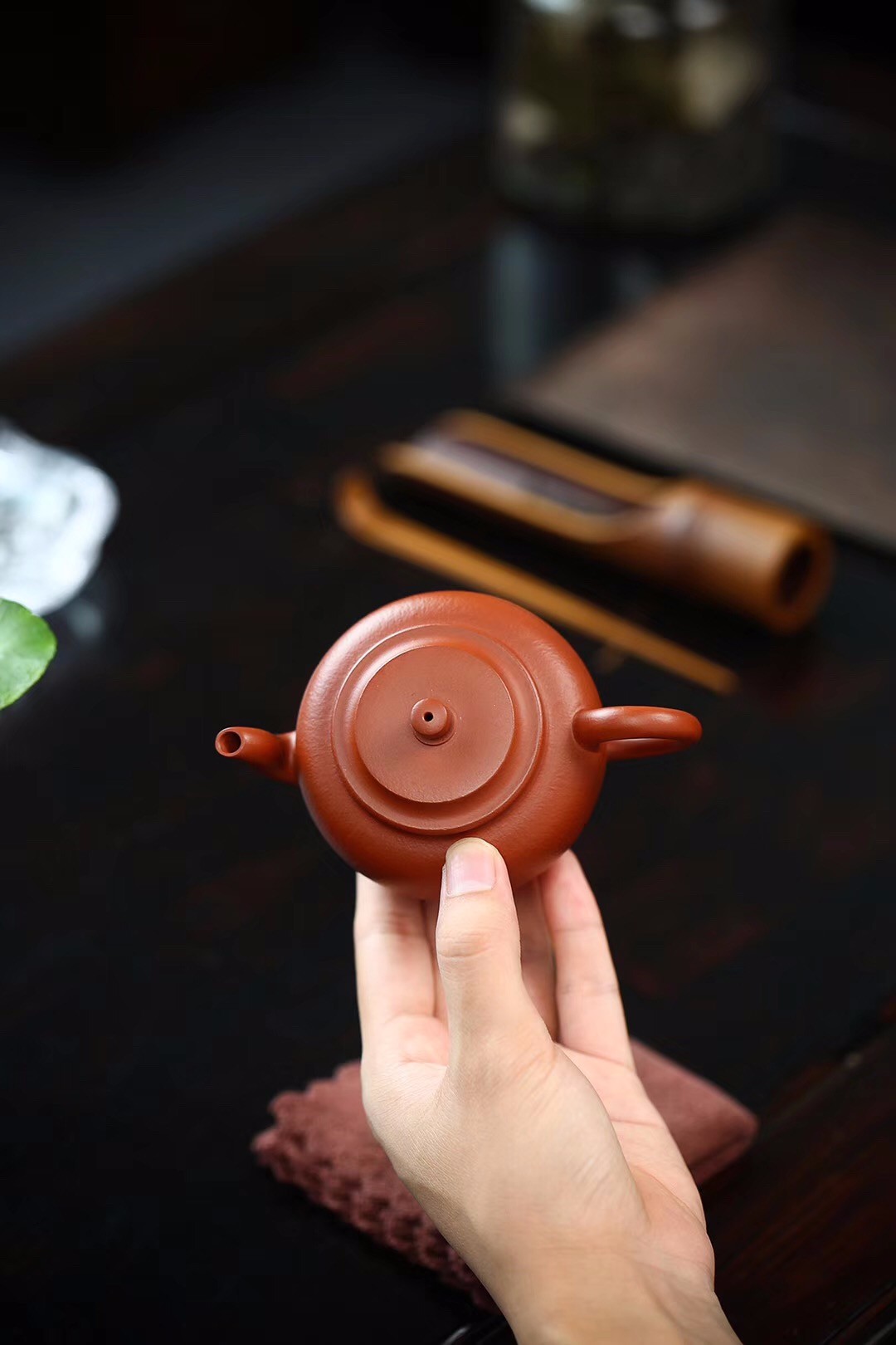 杨鹏作品 小莲子