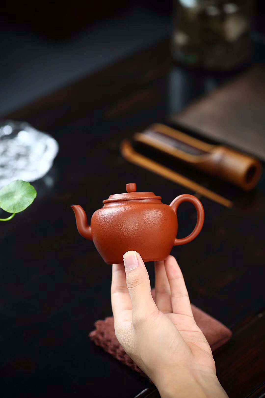 杨鹏作品 小莲子