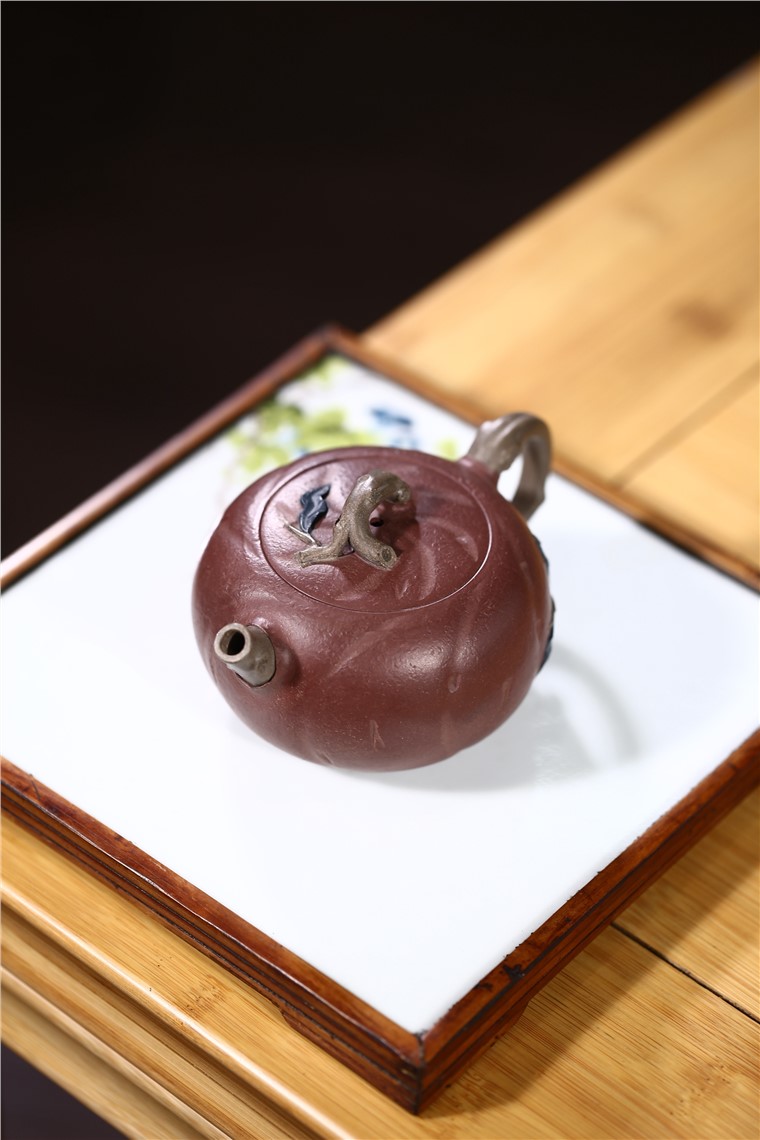 邵云琴作品 春枝蓓蕾