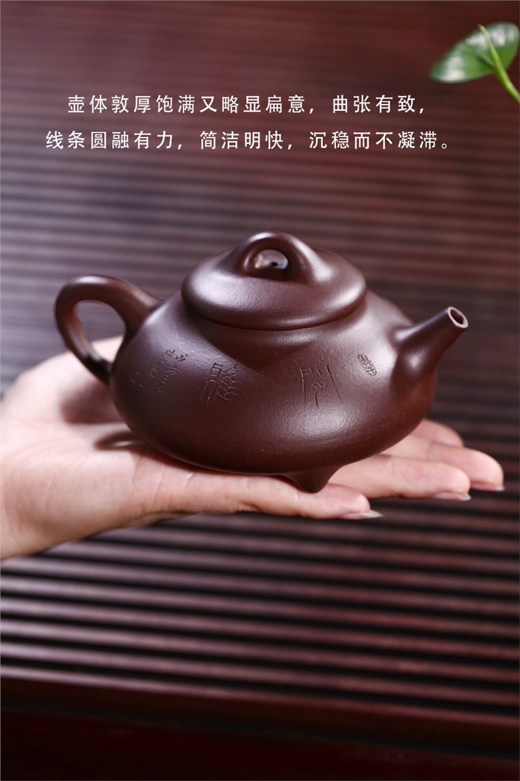 张剑作品 闲雅图片