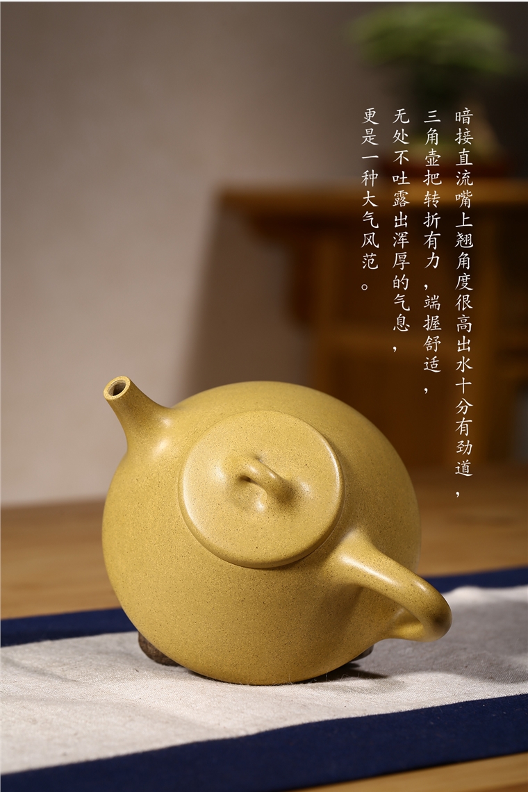 葛岳纯作品 石瓢