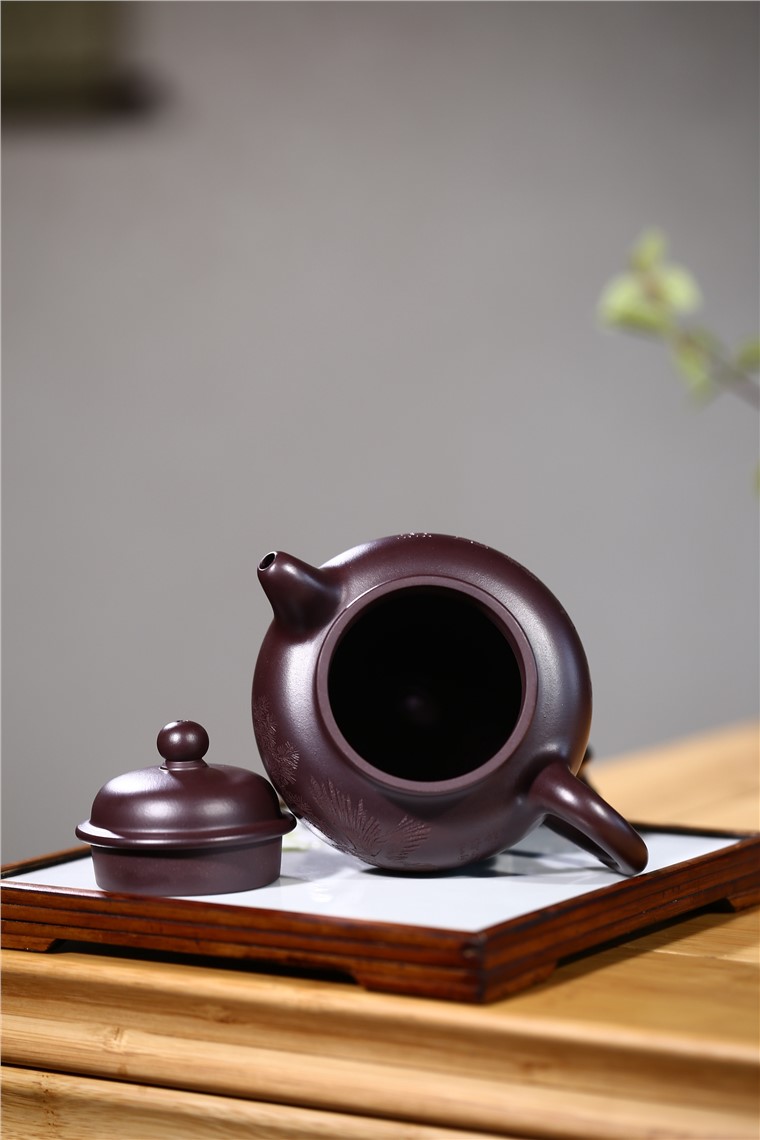 张剑作品 掇球图片