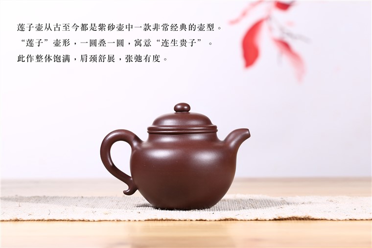 顾旭英作品 莲子图片