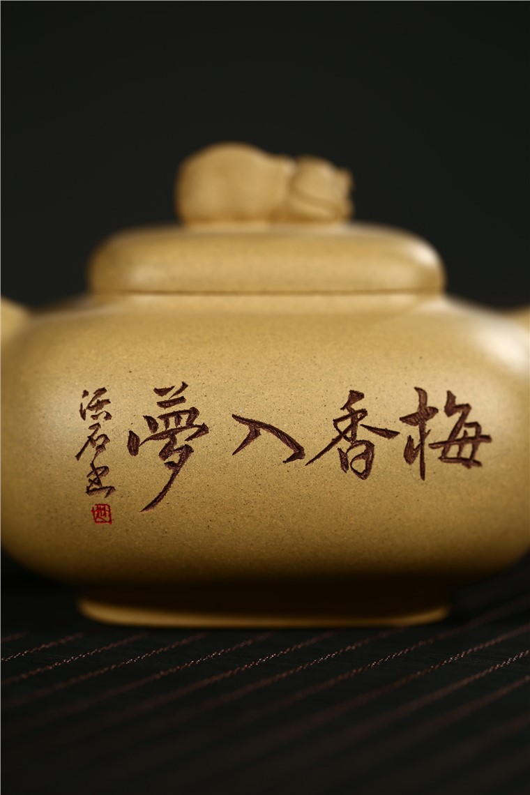 张剑作品 金猪纳福图片