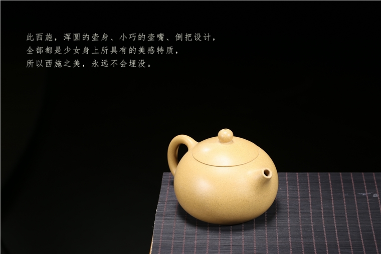 葛岳纯作品 西施