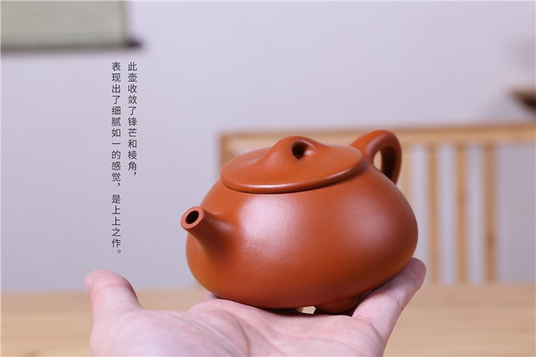 沈涛作品 景舟石瓢