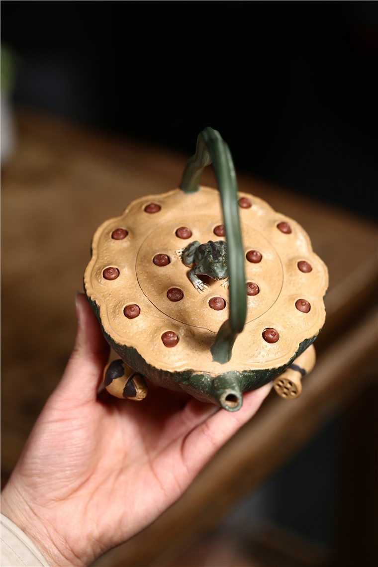 张剑作品 莲心蛙趣图片