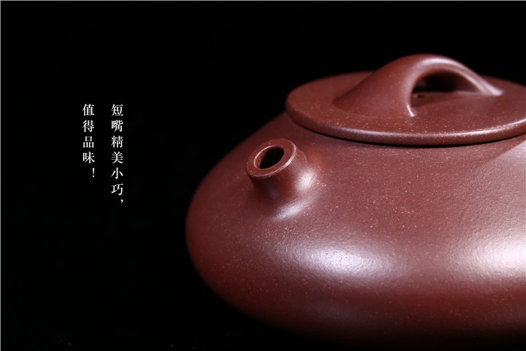 张雪军作品 憨瓢图片
