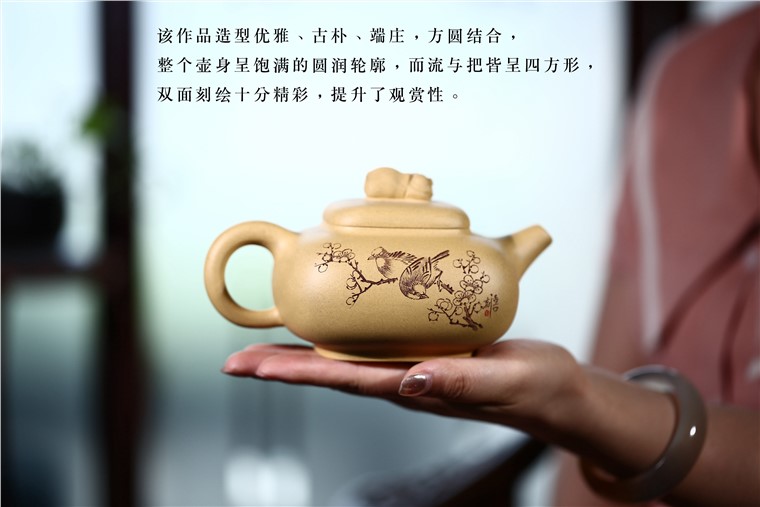 张剑作品 金猪纳福图片