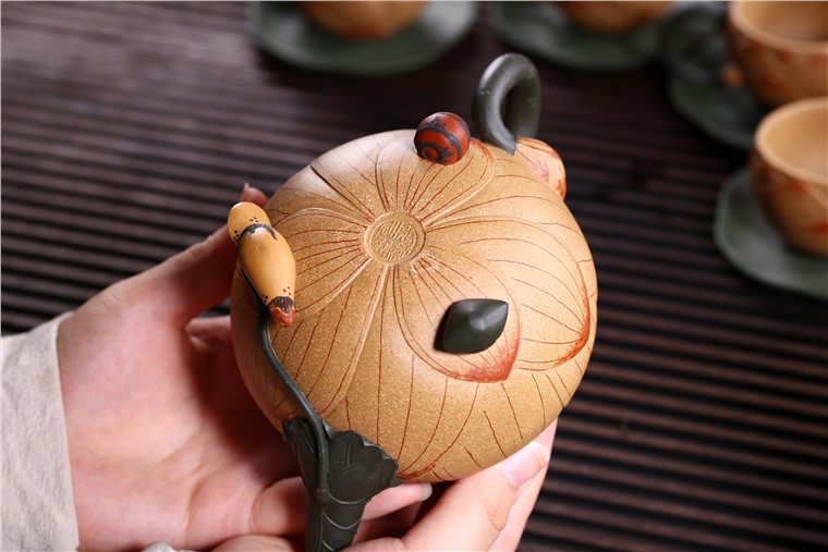 张剑作品 青蛙莲子