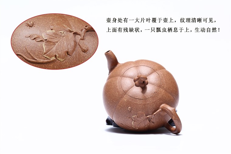 朱鸿钧作品 金玉南瓜图片