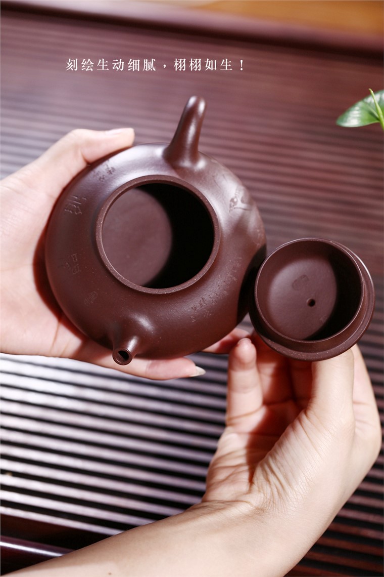 张剑作品 闲雅图片