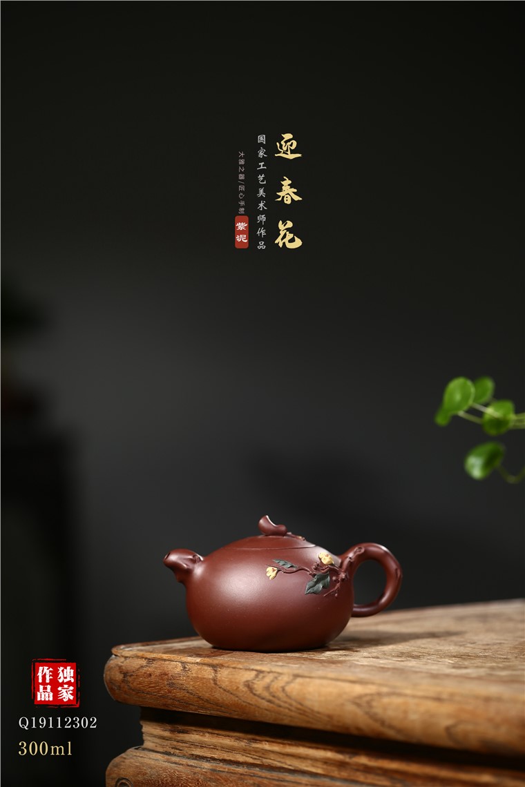 顾旭英作品 迎春花图片