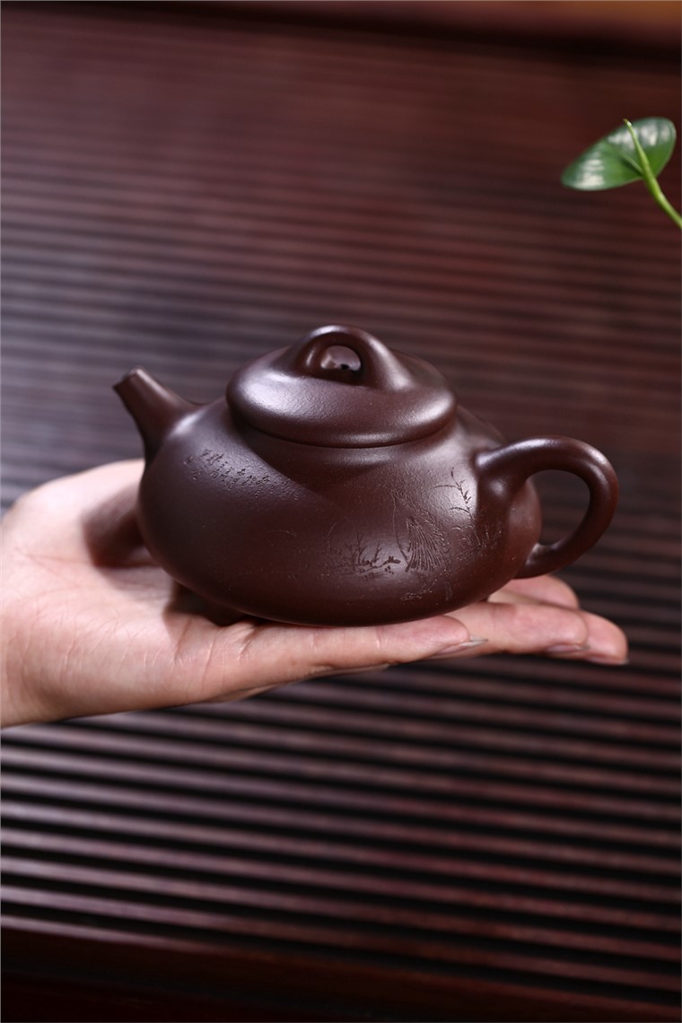 张剑作品 闲雅图片