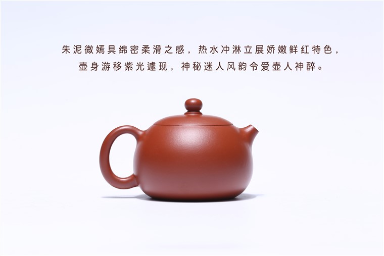 顾旭英作品 西施图片