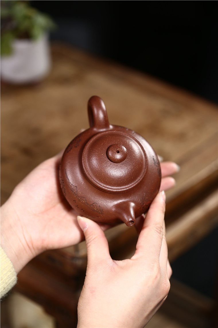 郁晴作品 莲子图片