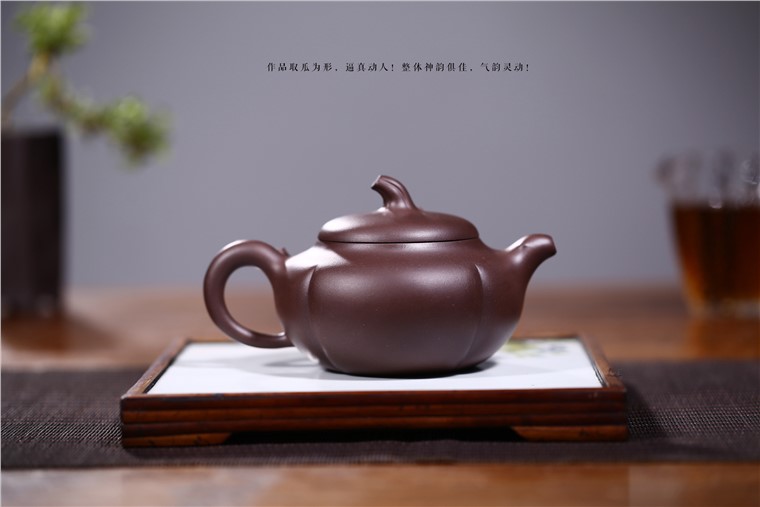 顾旭英作品 茄瓜图片