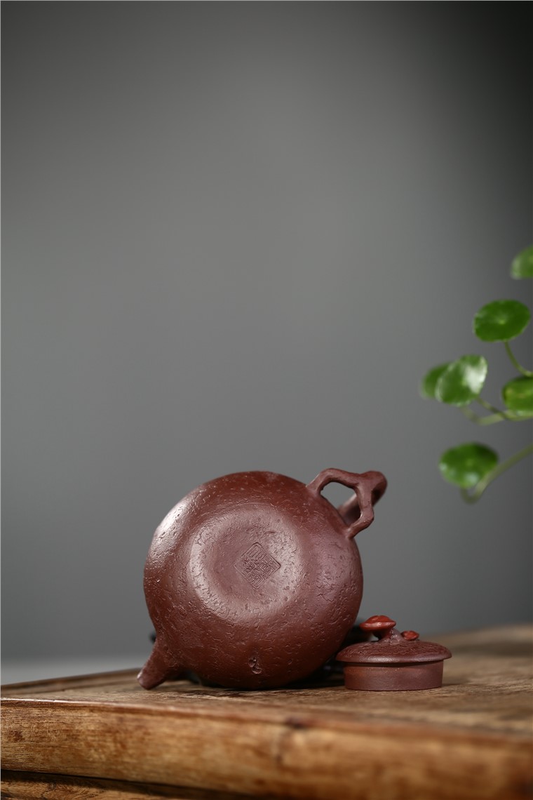 张剑作品 隐龙供春