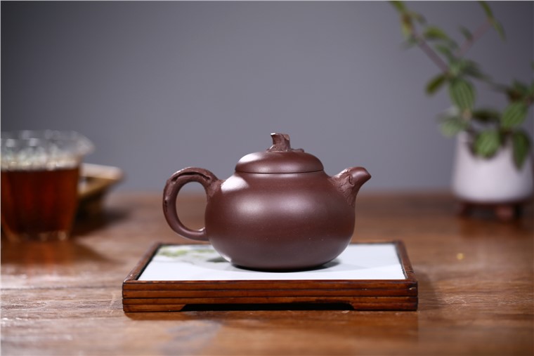 邵云琴作品 松针