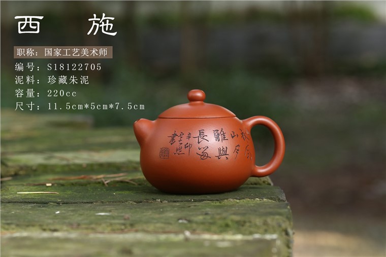 张云熙作品 西施图片