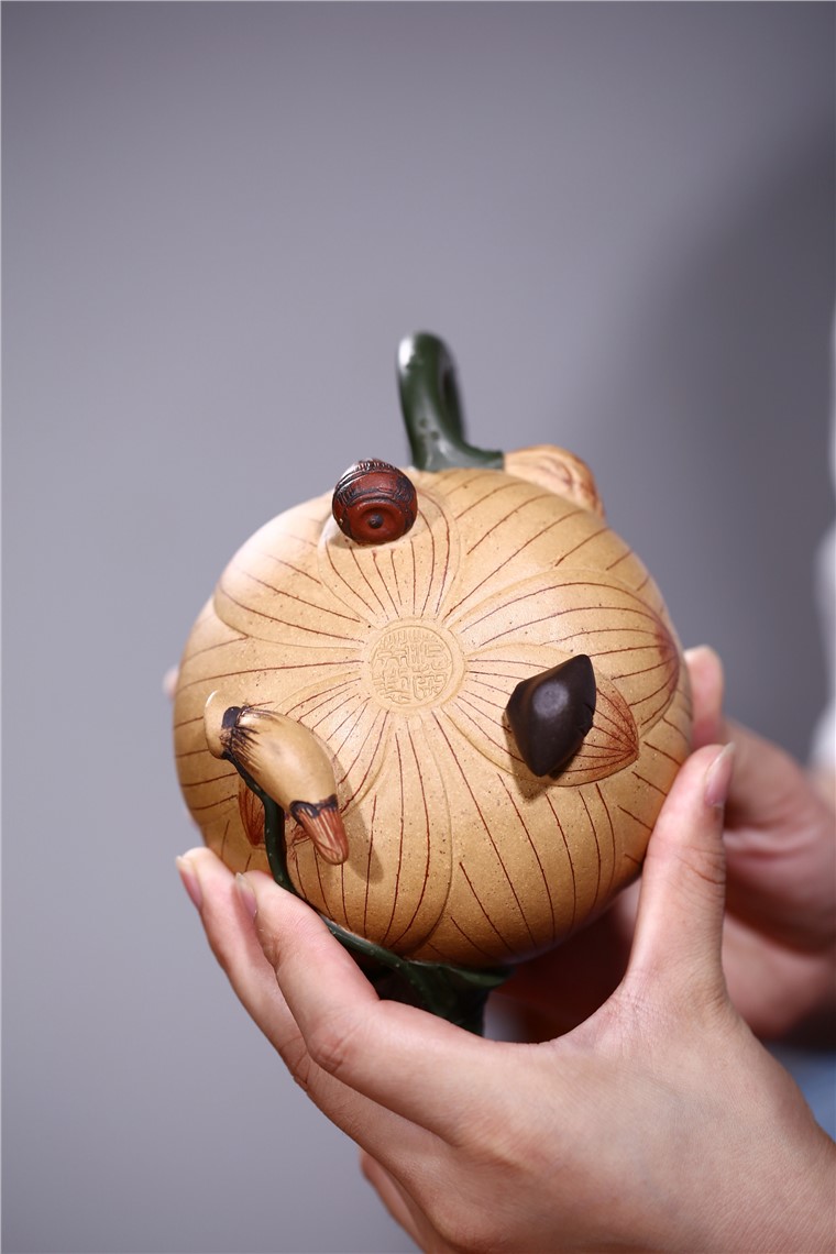范菊英作品 青蛙荷花