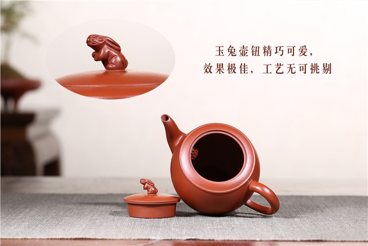 顾旭英作品 月兔图片