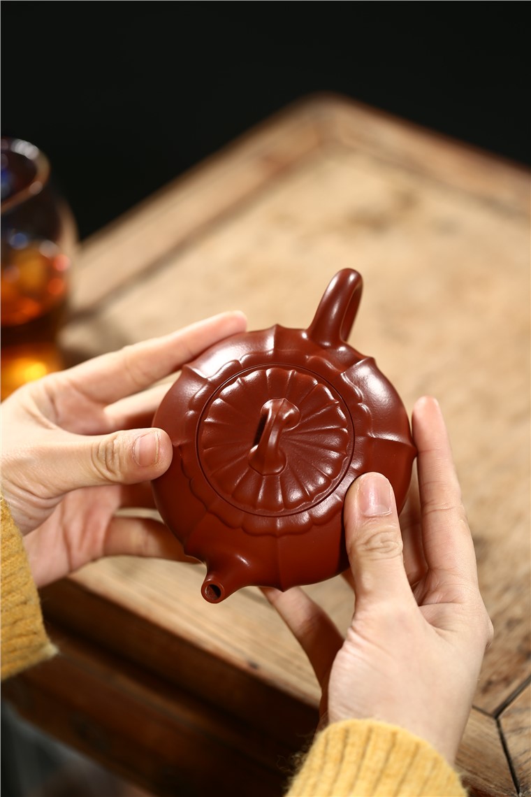 郁晴作品 宝莲图片