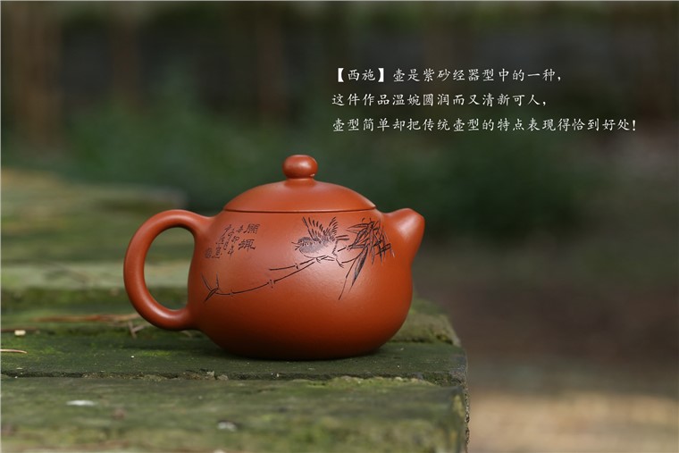 张云熙作品 西施图片