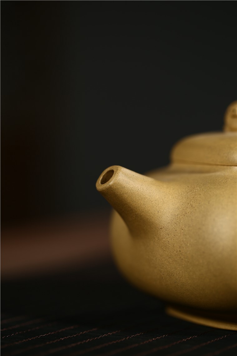 张剑作品 金猪纳福图片