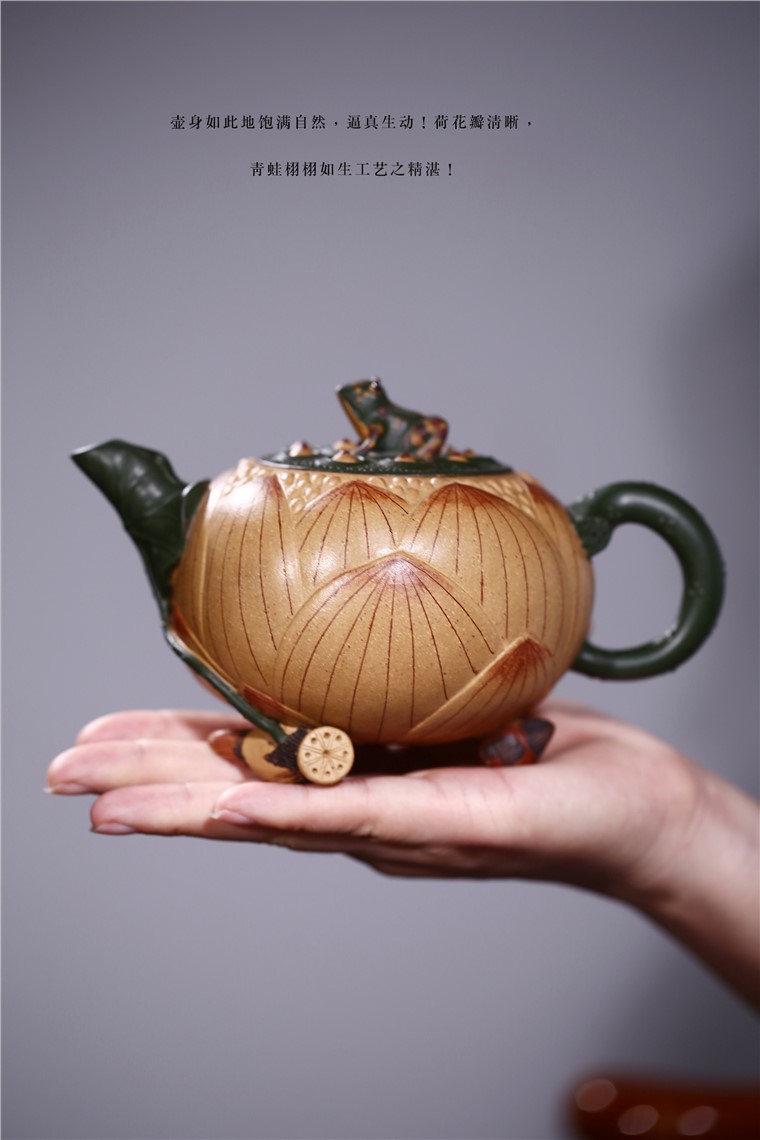 范菊英作品 青蛙荷花图片