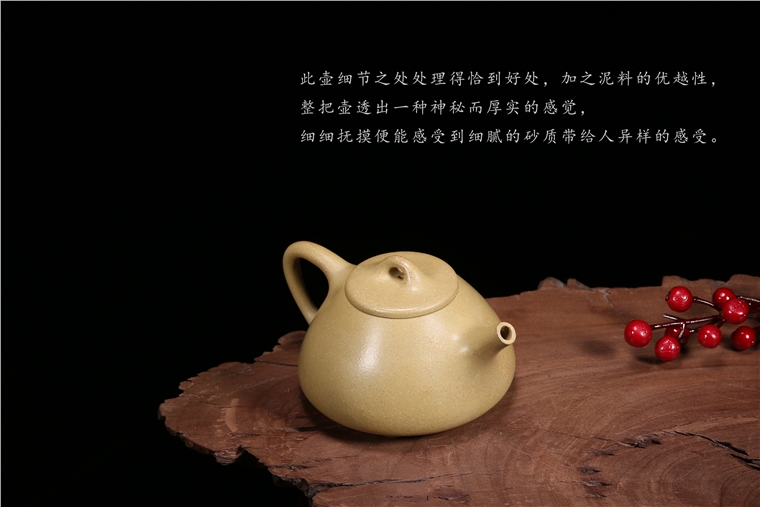 葛岳纯作品 石瓢